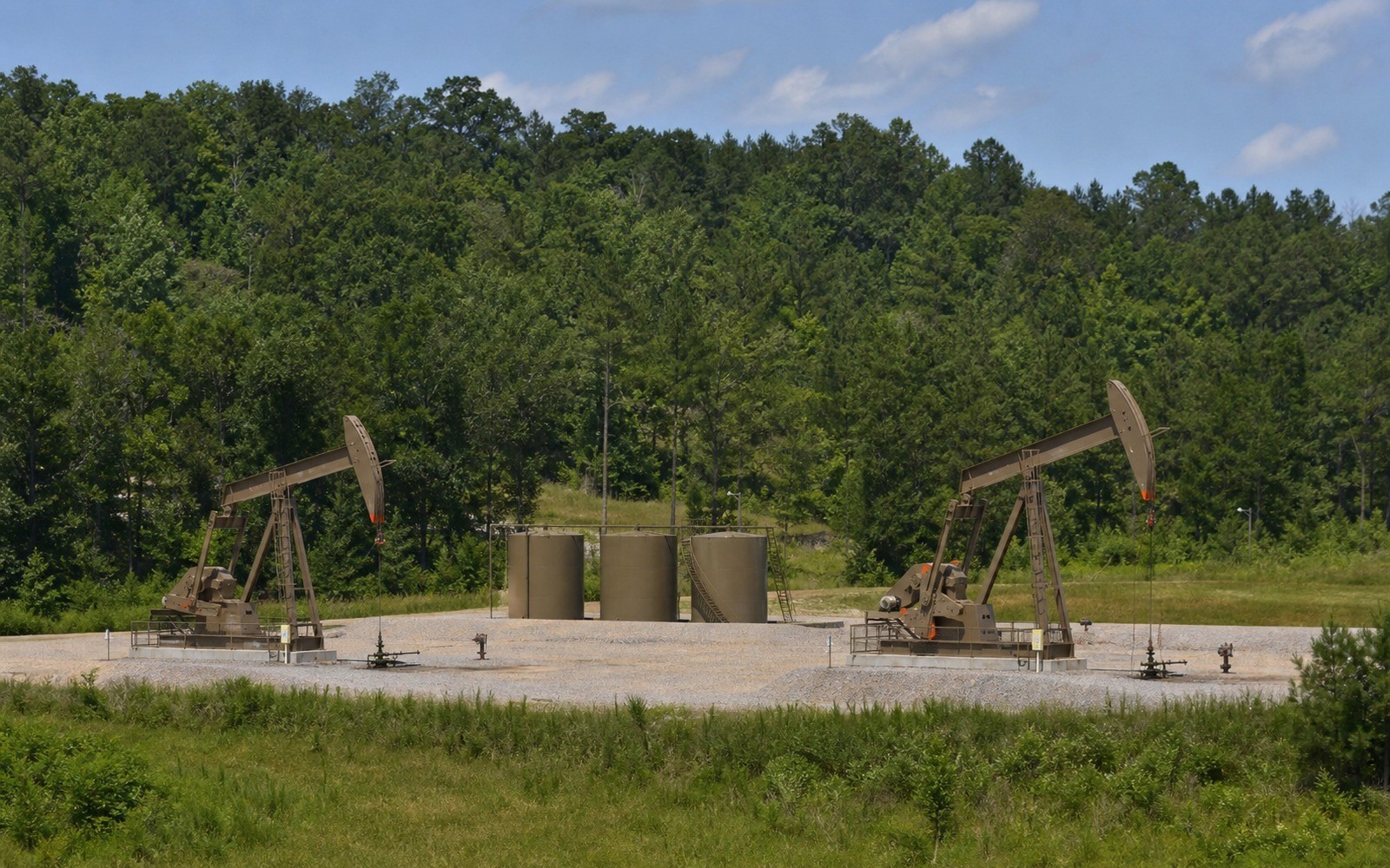 Black Warrior Basin Mineral Rights