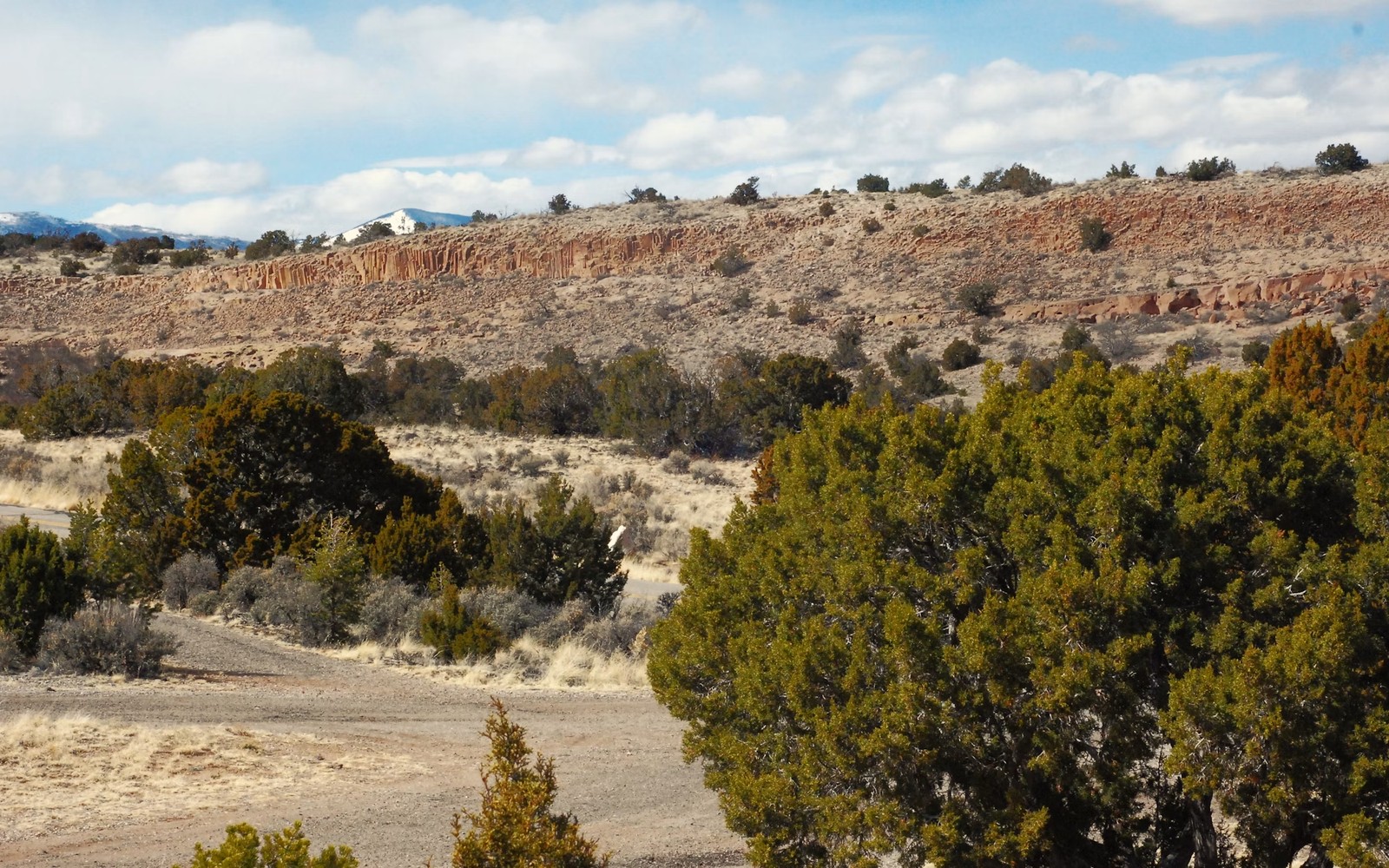 San Juan Basin Mineral Rights