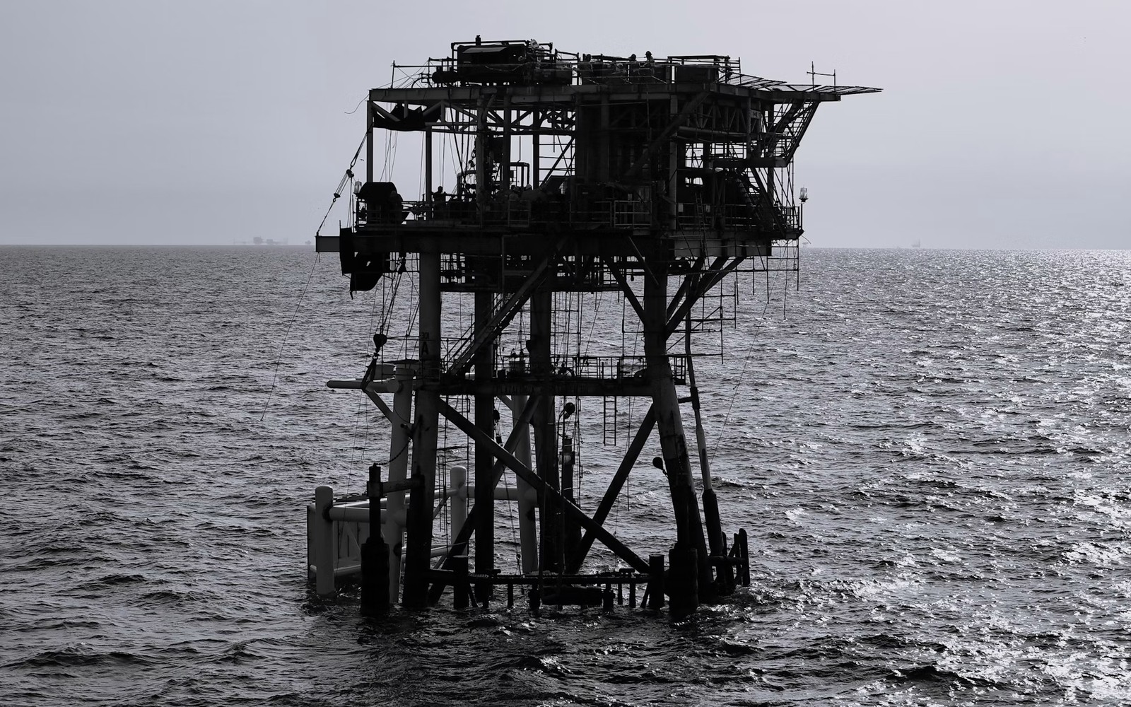 Tuscaloosa Marine Shale Mineral Rights