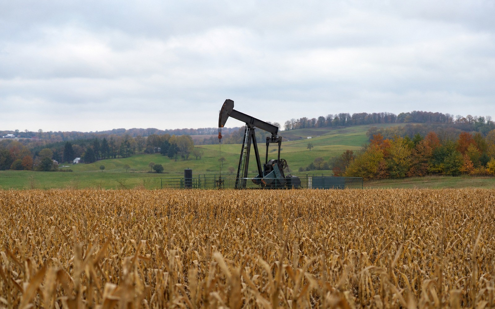 Inflation and Mineral Income
